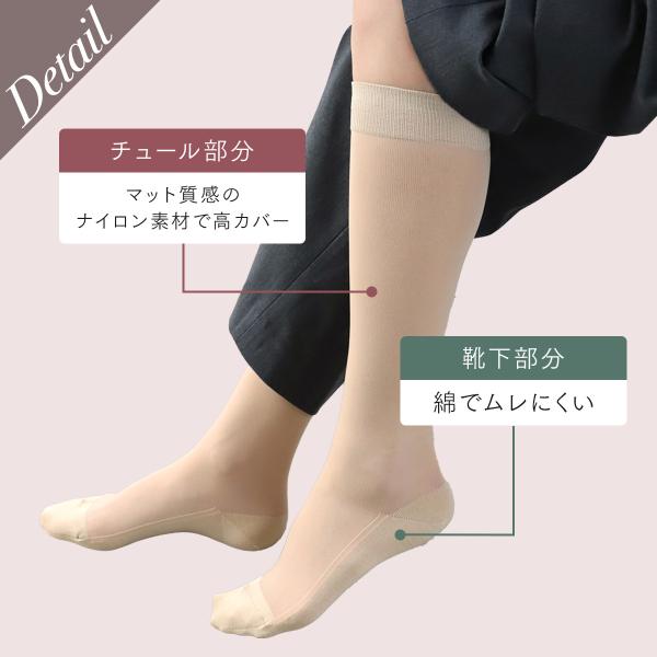 kutsusitaya_011170131_2_d_20250619180948