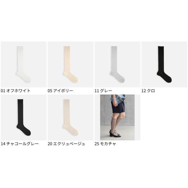 kutsusitaya_011170144_1_d_20260210130121