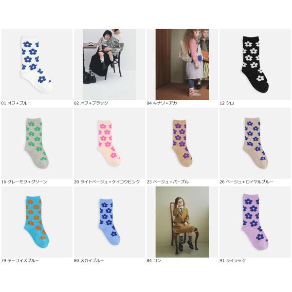 kutsusitaya_013153377_1_d_20250228174545