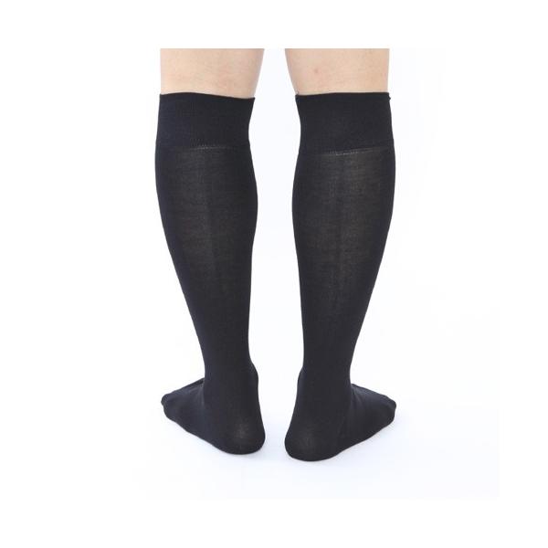 kutsusitaya_062170164_4