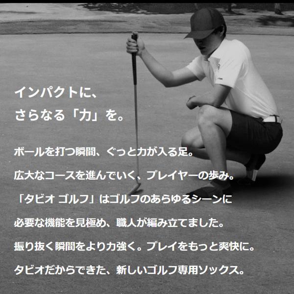 kutsusitaya_072130051_2_d_20250121174045