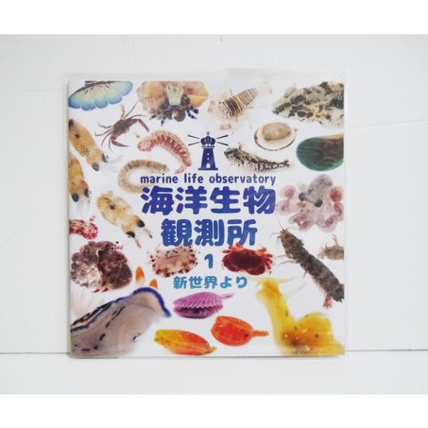 『海洋生物観測所 生態写真集』
