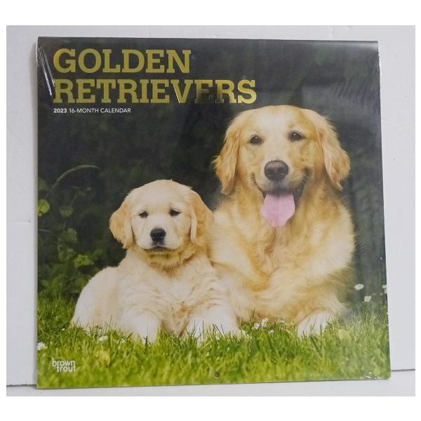 輸入2023年犬カレンダー「ゴールデンレトリバー」 : くうねる堂 - 通販