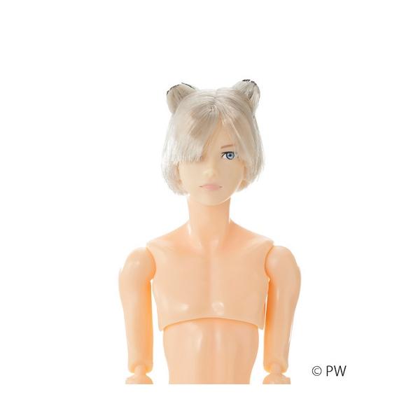 予約商品】『六分の一男子図鑑 B2512 エイト』 : くうねる堂 - 通販