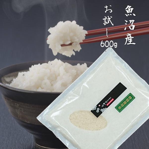 コシヒカリ 新米 2024 令和6年 魚沼産 送料無料 600g 4合 特別 コシヒカリ 新米 2024 令和6年 魚沼産 送料無料 600g 4合 特別