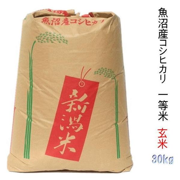 コシヒカリ 【新米予約】玄米 30kg 米 魚沼産 一等米 令和7年 コシヒカリ 【新米予約】玄米 30kg 米 魚沼産 一等米 令和7年