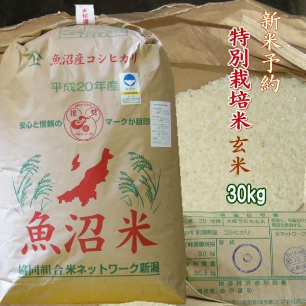 新米 2023年 令和5年 玄米 30kg 魚沼産コシヒカリ 特別栽培米【特A 