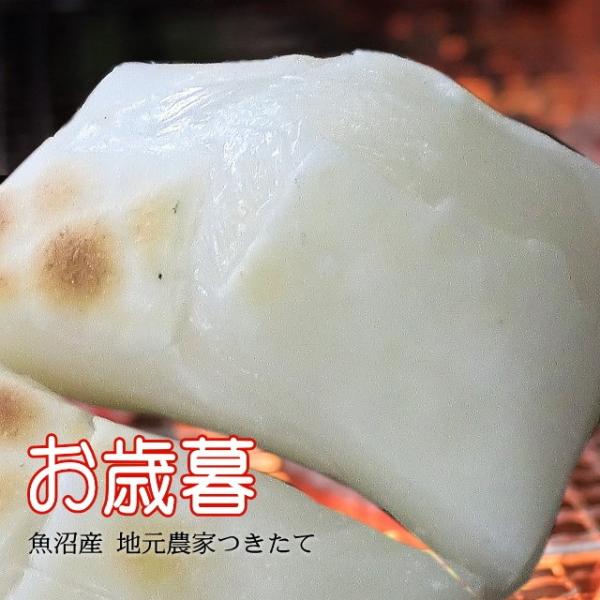    20kg V ˂  iY cɂ  500g×40ܓj76525