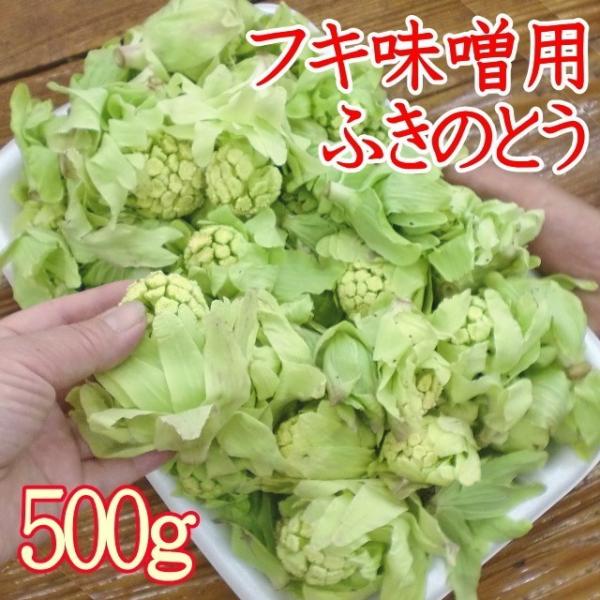 蕗の薹 通販 山菜 ふきのとう 500g前後 フキ味噌 用フキノトウ 少し大きな 蕗の薹 新潟産 3月 4月 Buyee 日本代购平台 产品购物网站大全 Buyee一站式代购 Bot Online