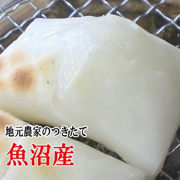 `   5kgi500g10jY_  cɂ Y ō ˂ 