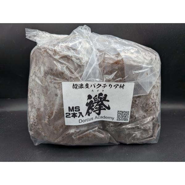 超濃度バクテリア材【襷】MSサイズ2本入り　