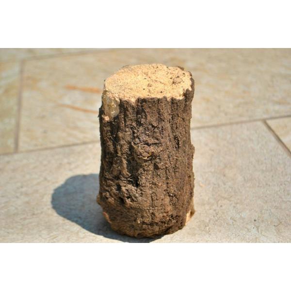 ※直径7cmまでクヌギ?コナラミックスになります。樹種は選べません。原木しいたけ農家から仕入れている優秀な産卵木です。ウエストウッディにも使用でき、実績のあるクオリティとなります。当店は5/13に専用通販サイトをオープンしました。こちらも是...