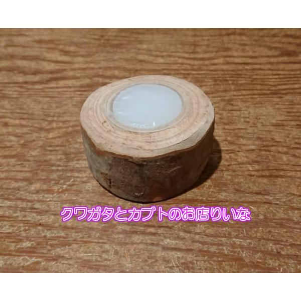 [Release date: June 13, 2019]エサゼリーの固定に使用して下さい。