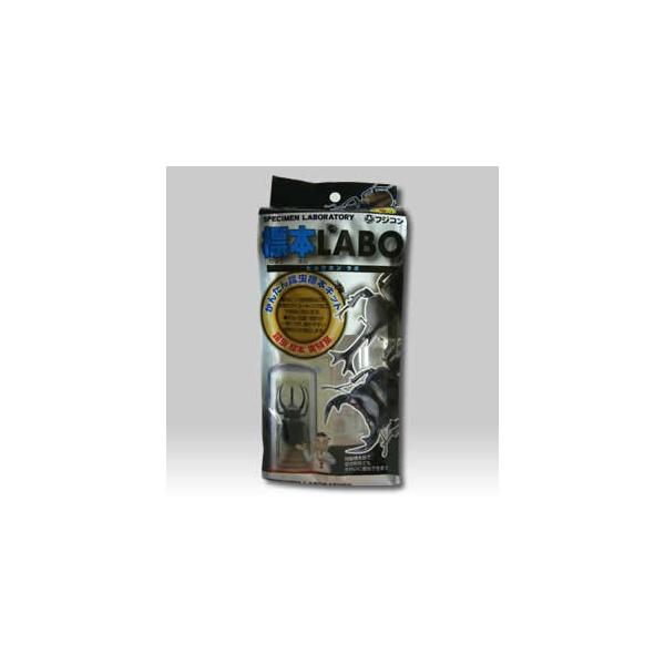 [Release date: March 1, 2018]注射器・虫ピンなど使わず、コーティング加工して作る新しい昆虫標本作成キットです。誰にでも簡単に美しい標本が作れます。（セット内容）標本ケース、標本台、コーティング剤、コーティング用パ...