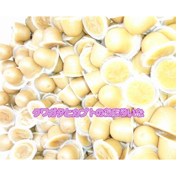 [Release date: March 3, 2018]※喰いの良さには定評があります！ 高タンパク、天然果汁強化、低糖タイプの純国産昆虫ゼリー。 動植物性タンパク質、各種糖質、ビタミン、ミネラルを効率よく配合。トレハロース入り。成虫のた...