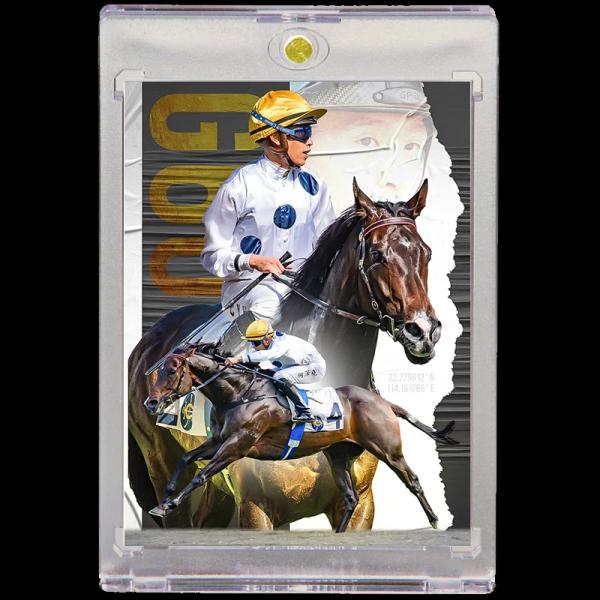 Golden Sixty ゴールデンシックスティ 海外競馬コレクションカード 香港 限定 Side Line Series 海外直輸入