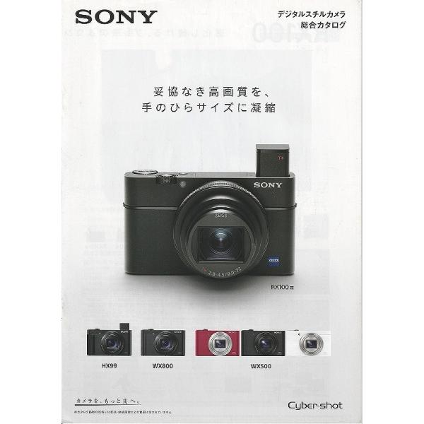 ソニー SONY RX100 VIII/HX99/WX800/WX500 の カタログ/2020.1(未使用美品)