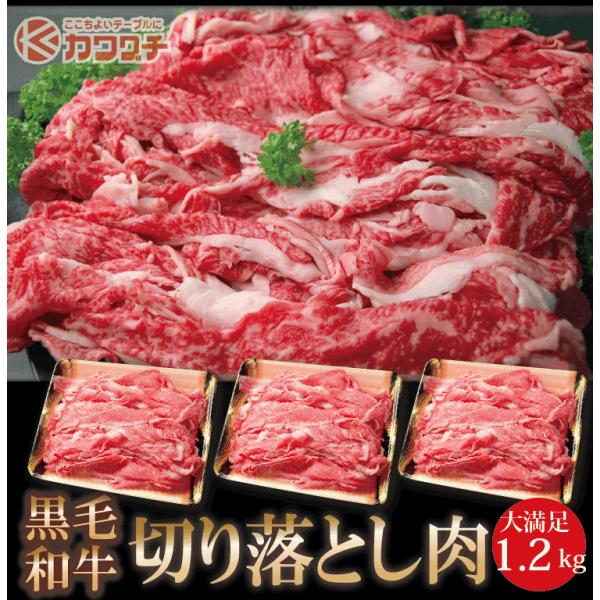 Mtg  a ؂藎Ƃ  1.2kg(400g x 3)| Mtg Ă  Mtg 󂠂