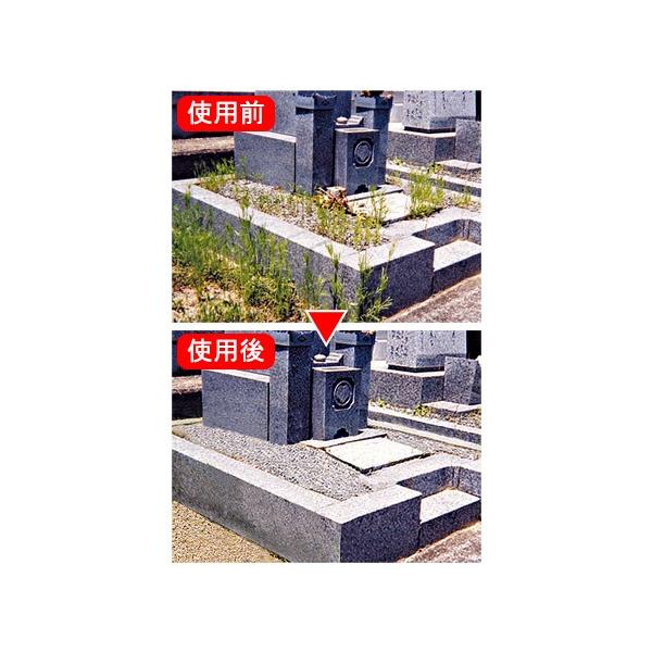 液体除草剤ウイードブライト シャワータイプ 4本セット 雑草 対策 Mohmmadiyon Com