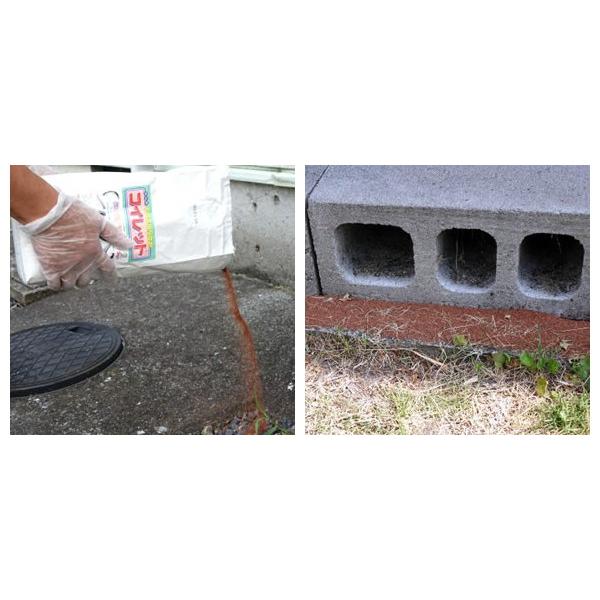 コイレット 駆除剤 ヤマビル 7袋セット ムカデ ワラジムシ ヤスデ 駆除剤 アリ あっと解消 ワラジムシ 園芸用品 店