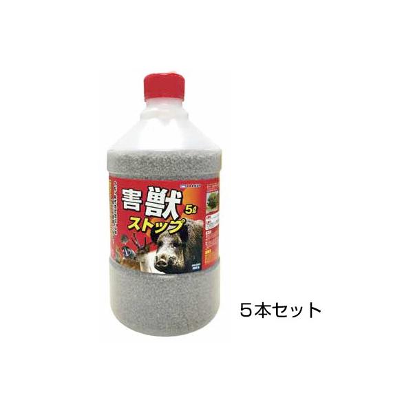 悯 CmVV nNrV ΍ QbXgbv 5L 5{Zbg