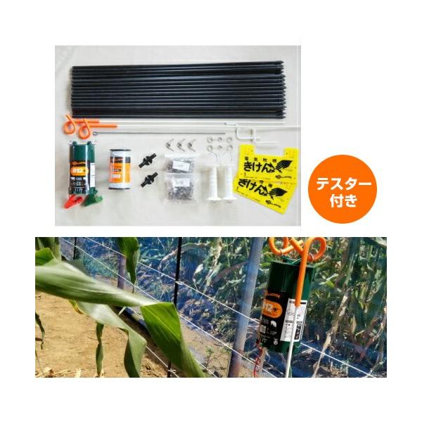 dC y 100m 2i Zbg eX^[t d drœ