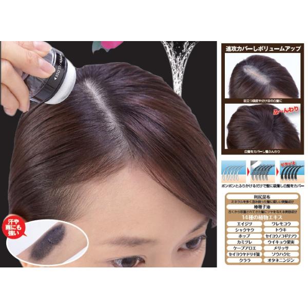 利尻と椿のponヘアパウダー 頭皮 3個セット 利尻昆布 ヘアカラー 白髪染め 3個セット 利尻昆布 ファンデ