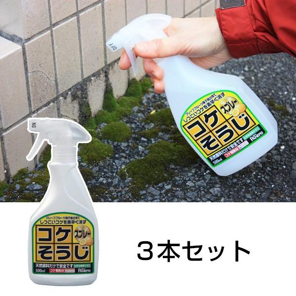 RPXv[ ߂^Cv 3{Zbg  쏜 |