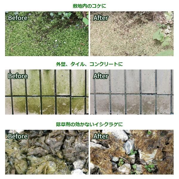 あっと解消 駆除剤 掃除 園芸用品 コケそうじ濃縮液 2l 苔 2l 苔 肥料 薬品 店 業務用