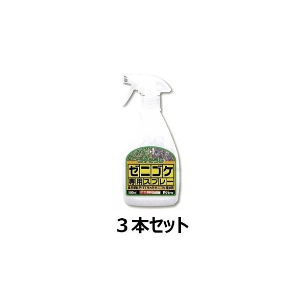 [jSPpXv[ 500ml 3{Zbg  쏜 |