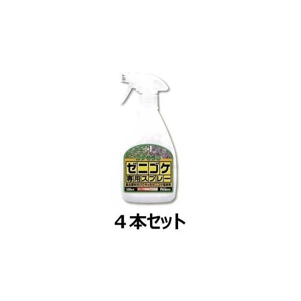 [jSPpXv[ 500ml 4{Zbg RP 쏜 |