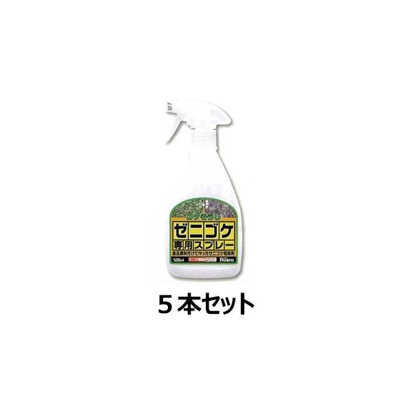 [jSPpXv[ 500ml 5{Zbg  쏜 |