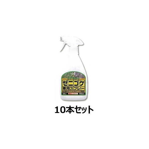 [jSPpXv[ 500ml 10{Zbg  쏜 |