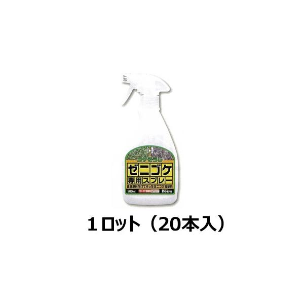 [jSPpXv[ 500ml 1bg(20{)