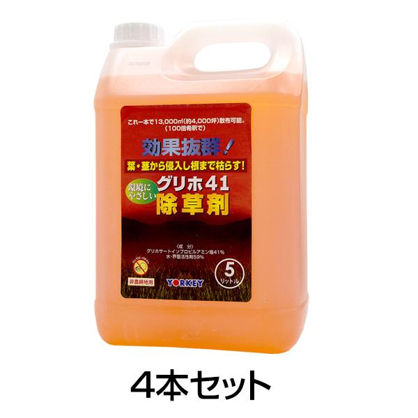  t _knp Oz41 5L 4{Zbg  G΍ ܂Ō͂炷