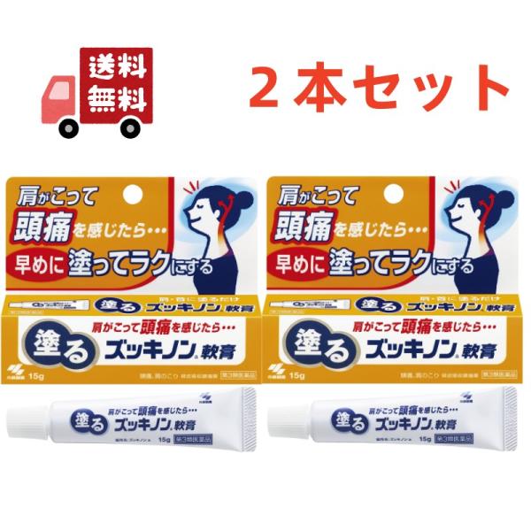 ２個セット【第3類医薬品】塗るズッキノン軟膏 15g　小林製薬