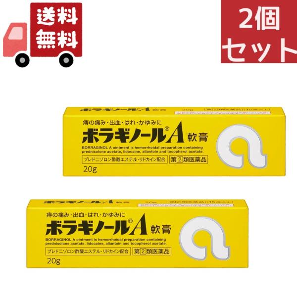 ボラギノールA軟膏/チューブ/痔の痛み・出血・はれ・かゆみ