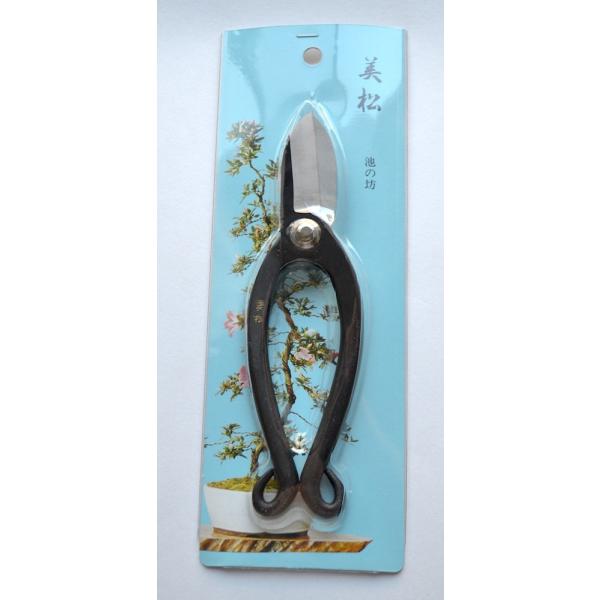 ���|�p�o�T�~ �u�����v �r�V����