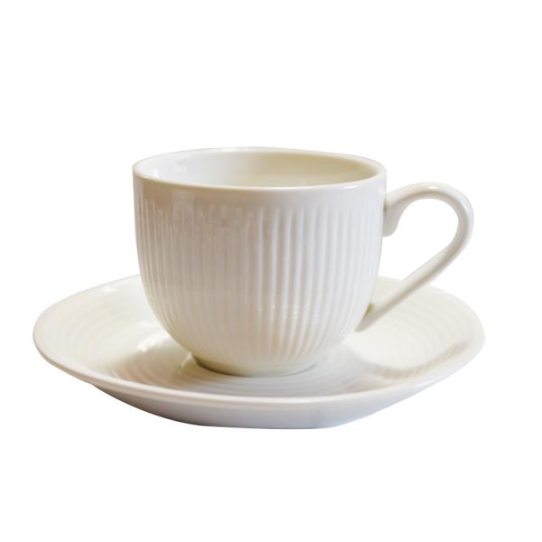 yTDI AV[Yz@XgCv R[q[Jbv\[T[ ×12Zbg@i:A21246/21247