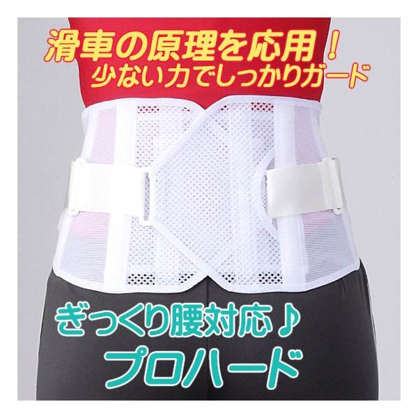 腰痛ベルト プロハードllサイズ ぎっくり腰 ヘルニアをパワフルにサポート 急性期用 大きいサイズ Buyee Buyee Japanese Proxy Service Buy From Japan Bot Online