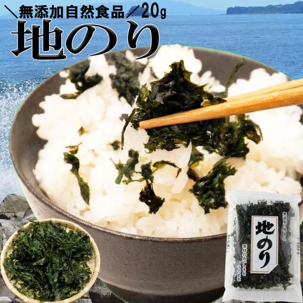 国産 地のり 20g入 無添加食品 焼きのり 味噌汁の具 おつまみ 海苔 乾物 ご飯のお供 お試し ポイント消化 1000円以下 トッピング ラーメン 乾海苔 焼き海苔