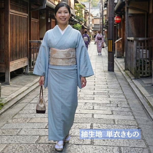 紬生地 単衣きもの 2点セット 単衣着物 名古屋帯 HL 夏着物 洗える