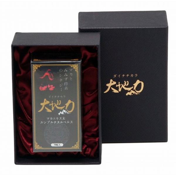 大地力 ダイチチカラ 赤ミミズの力 大地の力 70粒 B4024 01 今日美人 通販 Yahoo ショッピング