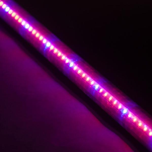 Led蛍光灯 40w形 直管 植物育成ランプ 蛍光灯 Led グロー式工事不要 サンプランター 水耕栽培ランプ 室内用 1cm 1198mm G13 T8 園芸 Buyee Buyee Japanese Proxy Service Buy From Japan Bot Online