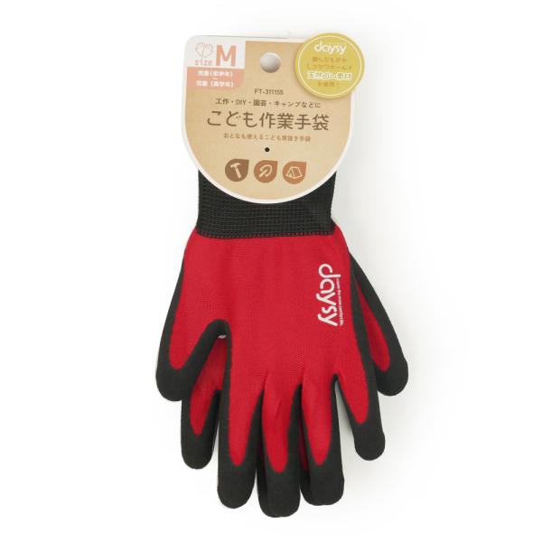 kyoeikendo_ft-311155_1_d_20240926111941