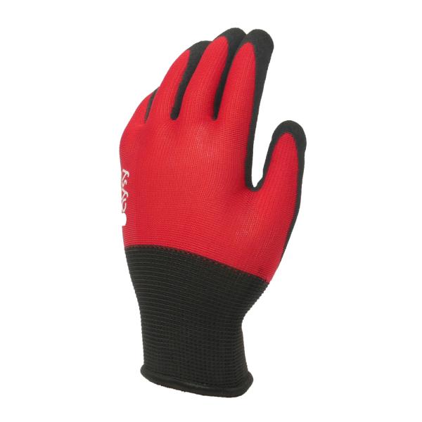 kyoeikendo_ft-311155_2_d_20240926111942