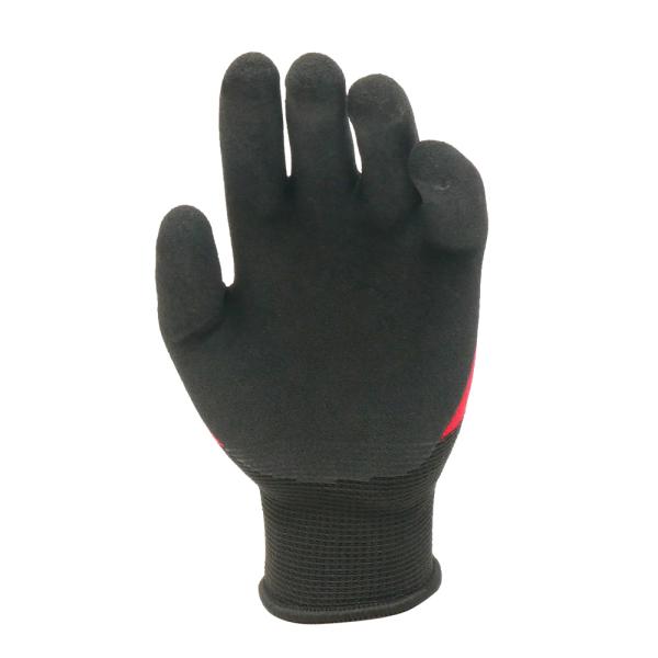 kyoeikendo_ft-311155_3_d_20240926111943