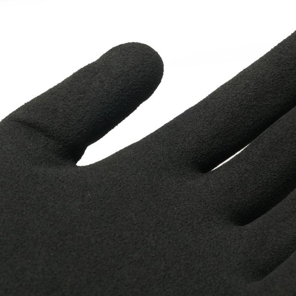 kyoeikendo_ft-311155_5_d_20240926111946