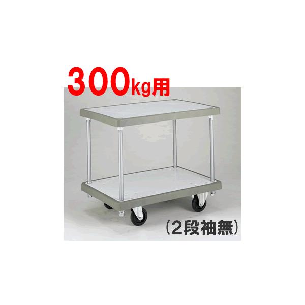 s I  葳Eω׏d300kg op[L[ij2iȂiu[/zCgjiW900×D600×H779j