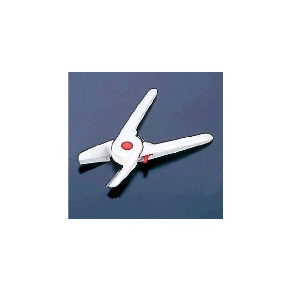 s[[ 䂸̂؂ɂI IVIIRۃ^Cv (1-0571-1301)